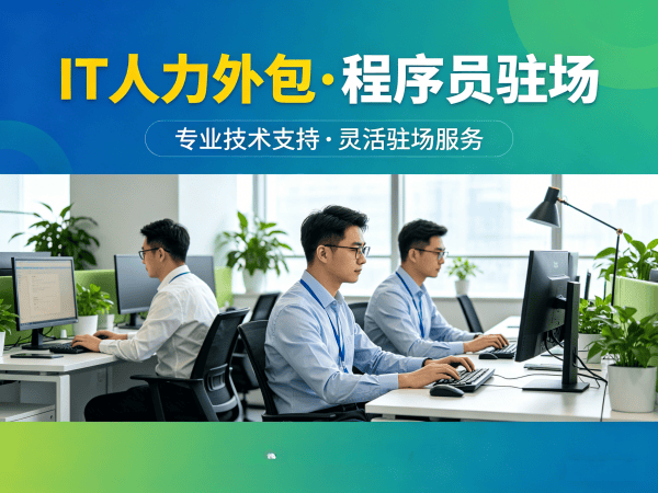 佛山IT人力外包解决方案 | 爬虫工程师程序员驻场开发服务
