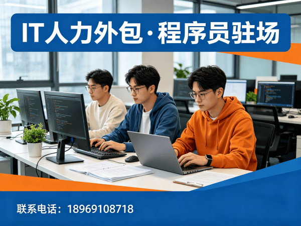 天津IT人力外包解决方案｜ChatGPT开发程序员驻场服务｜专业技术团队搭建