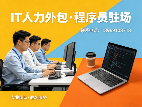 宁波Go开发程序员外包服务承诺：专业IT人力外包解决方案